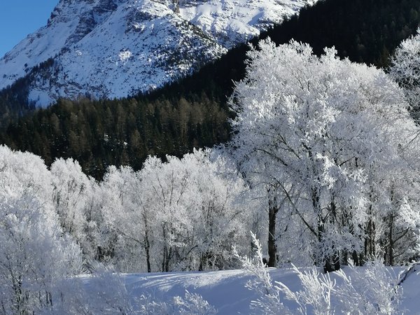Winter Engadin Berg und Bäume im Schnee